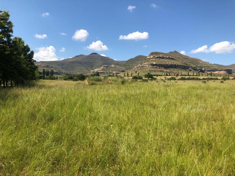 0 Bedroom Property for Sale in Clarens Free State